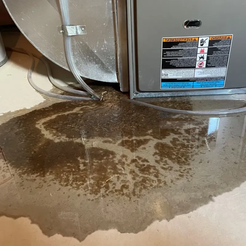 Pipe Burst and Leak Restoration in Tulsa, OK